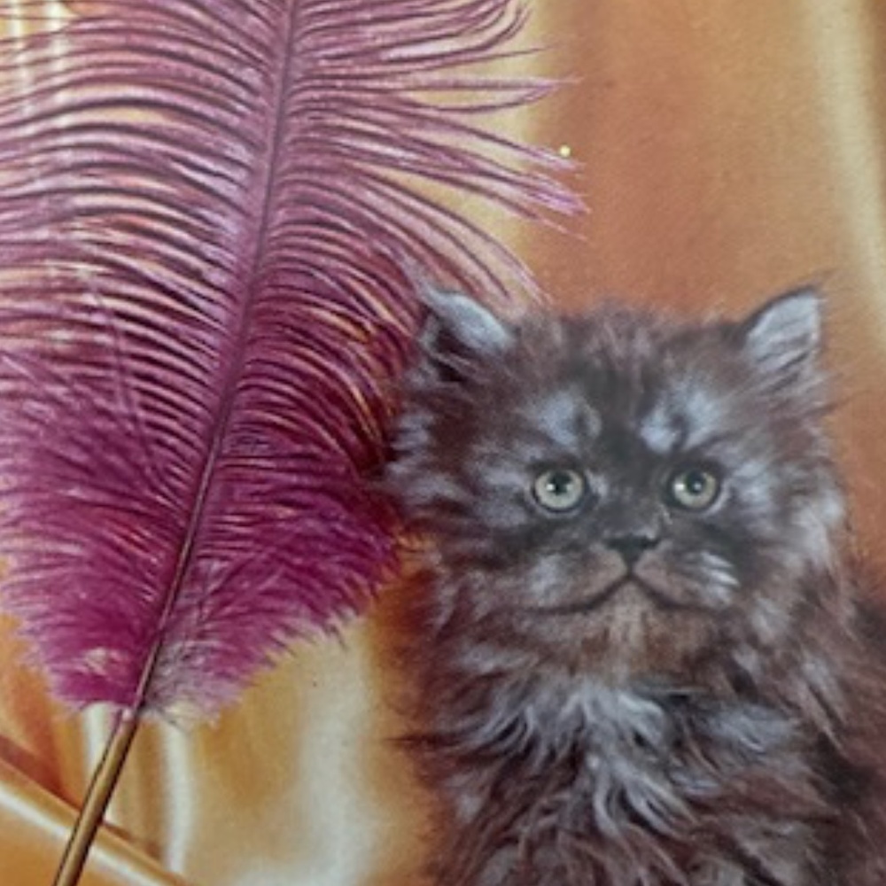 Happy Poshing! - Picture 11 of 11